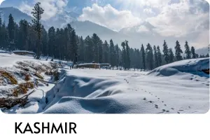 Kashmir
