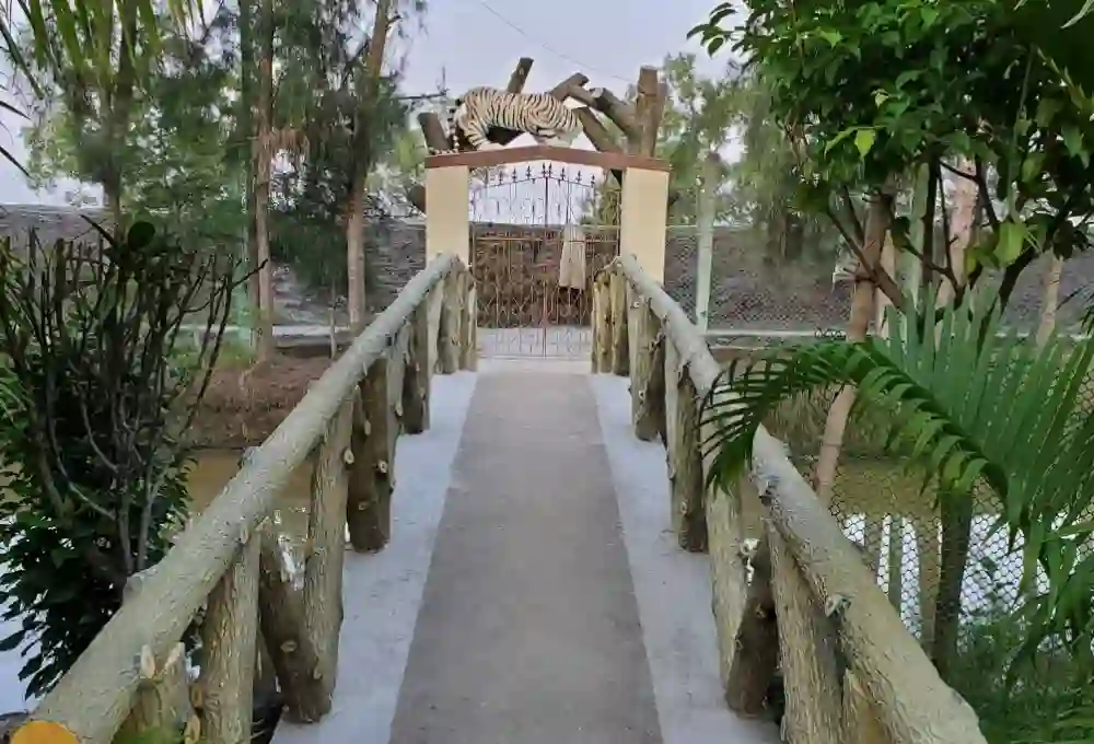 tiger roar resort sundarban ferry ghat